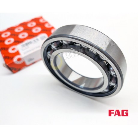 6009 - FAG