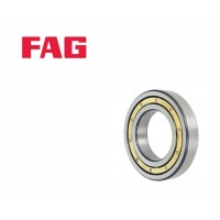 6019 M C3 - FAG