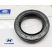 43134-02501 (21,4x32x6) - HYUNDAI