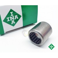 F-213995.01 - INA