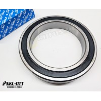61917 2RS (6917 2RS) - NKL