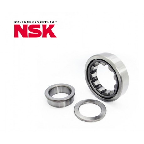 NUP 309 EW - NSK