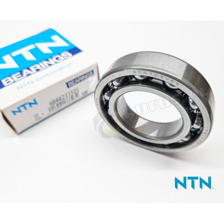 6007 C3 V65 (AB44233S01) - NTN