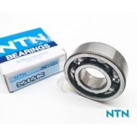 6202 C3 - NTN