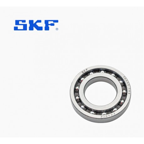 16005 TN9 - SKF