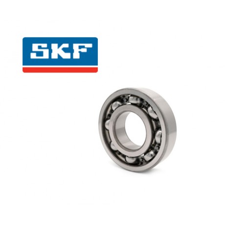 6007 - SKF