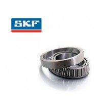 25590/25520 - SKF